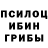 Галлюциногенные грибы мухоморы Maria Alehno