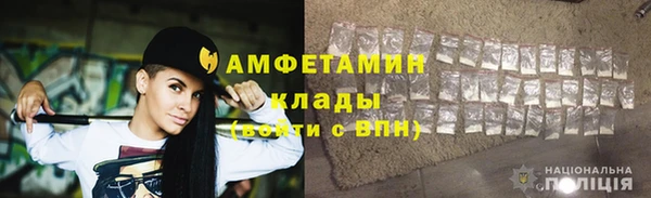 прущие грибы Дмитриев