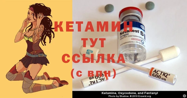 гидра Дмитров