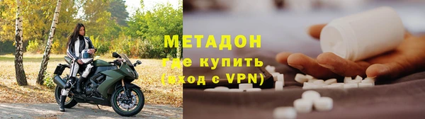 прущие грибы Дмитриев