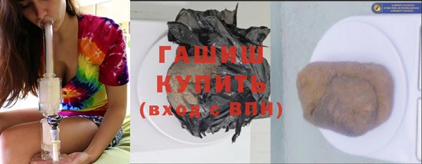 гидра Дмитров