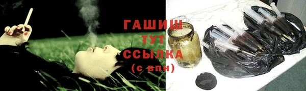 прущие грибы Дмитриев