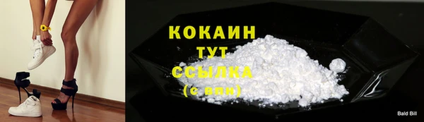 гидра Дмитров