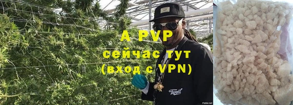 гидра Дмитров
