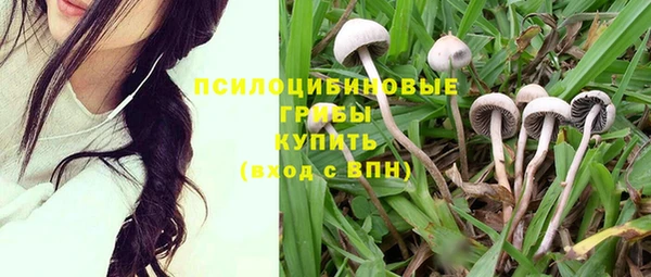 гидра Дмитров