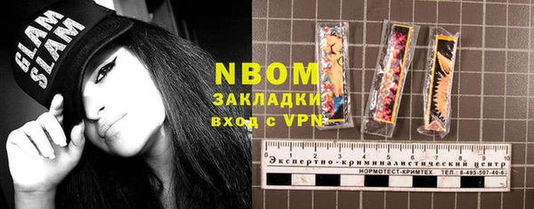 прущие грибы Дмитриев