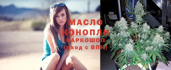 гидра Дмитров