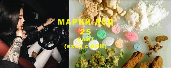 прущие грибы Дмитриев