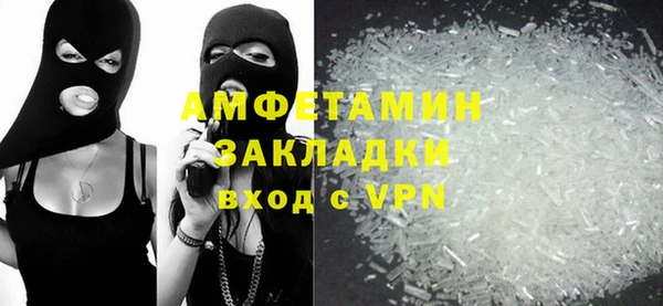 прущие грибы Дмитриев