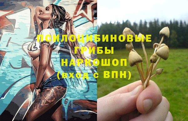 гидра Дмитров