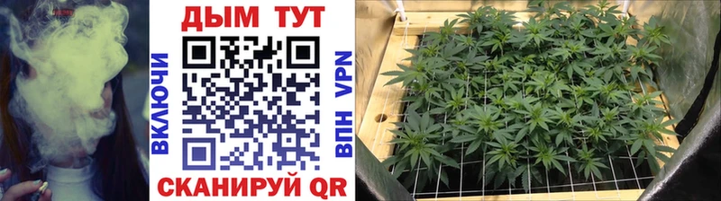 darknet официальный сайт  Дятьково  ОМГ ОМГ ONION  Шишки марихуана гибрид  купить закладку 